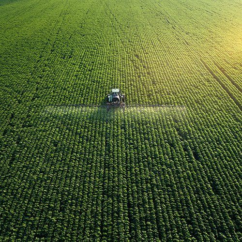 Farmer fertilizing crops